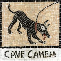 20080613100400-cavecanem.jpg
