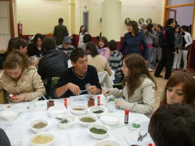 20090402095236-sany0833.jpg